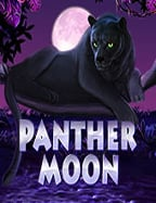 88 ได้ 300 joker เล่น ฟรี: รีวิวสุดมันส์จาก Spade Gaming