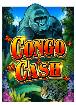 รีวิว เกม แมว เล่น ที่คุณไม่ควรพลาด